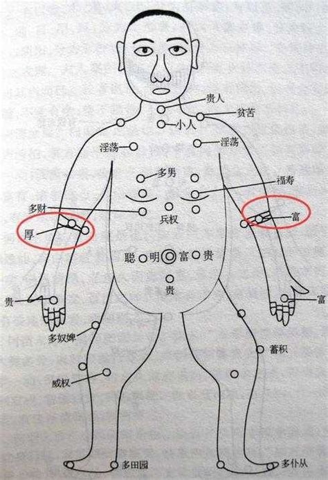 手臂痣|痣的位置透露出這些訊息！上手臂有痣不乏追求者、手。